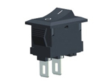RS601H-1010011BB